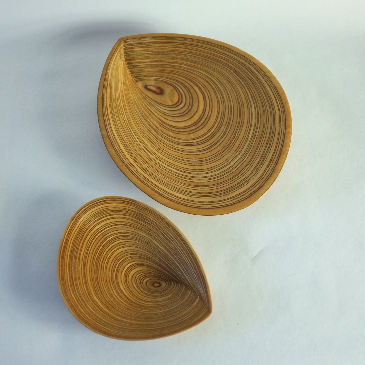 Plywood dish by Tapio Wirkkala for Soinne Et Kni, Finland. 1950s.
