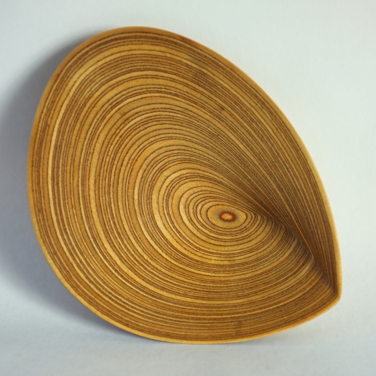Plywood dish by Tapio Wirkkala for Soinne Et Kni, Finland. 1950s.