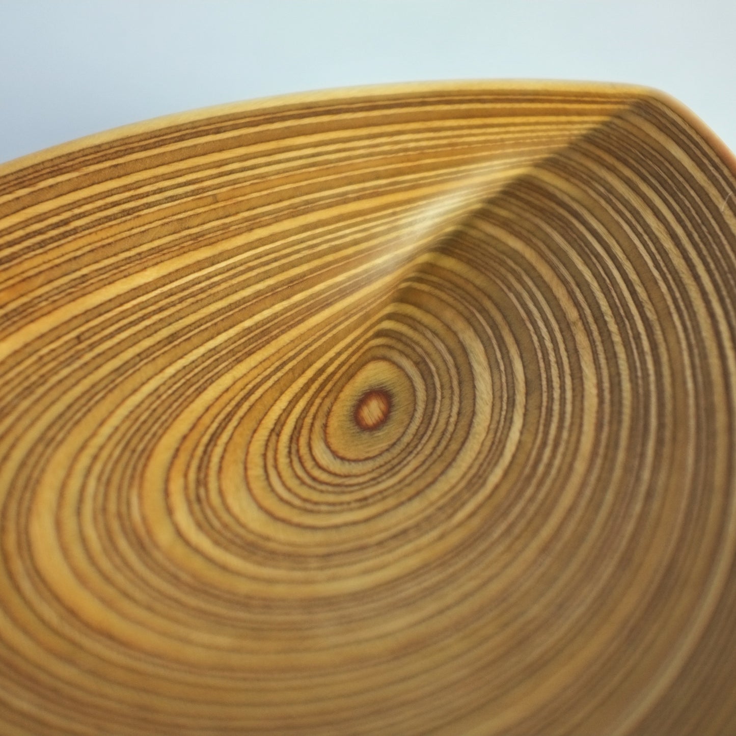 Plywood dish by Tapio Wirkkala for Soinne Et Kni, Finland. 1950s.