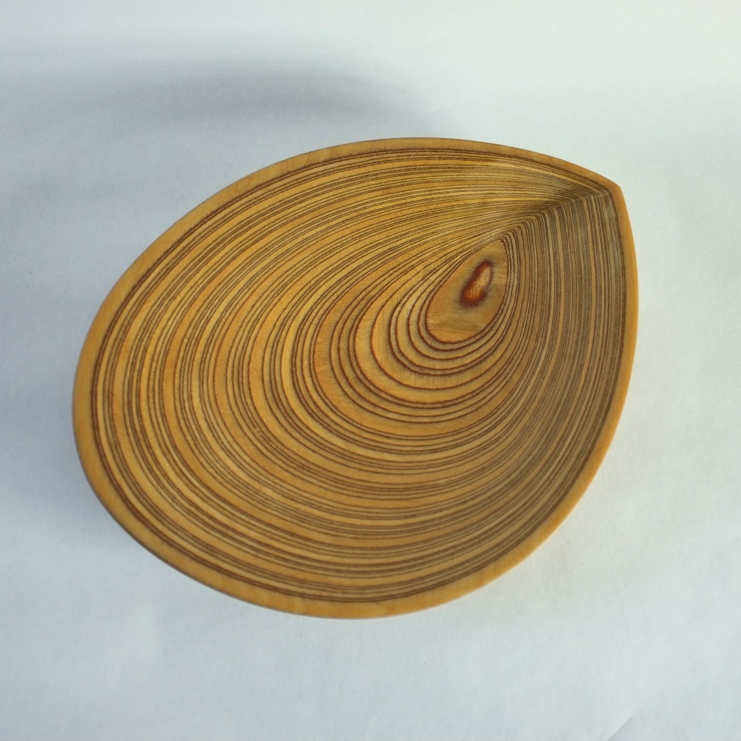 Plywood dish by Tapio Wirkkala for Soinne Et Kni, Finland. 1950s.